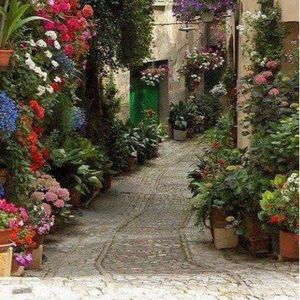 Meet your Posher, Zareena